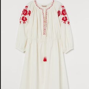 Cotton embroidered midi dress from H&M